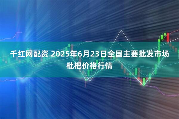 千红网配资 2025年6月23日全国主要批发市场枇杷价格行情