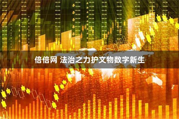倍倍网 法治之力护文物数字新生